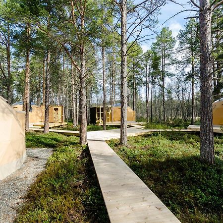Glod Aurora Canvas Dome Алта Екстериор снимка