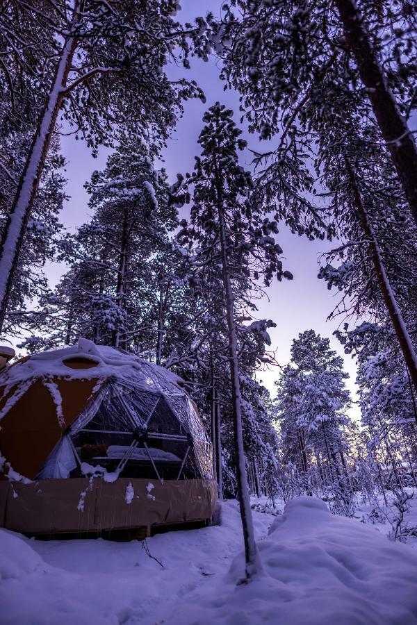Glod Aurora Canvas Dome Алта Екстериор снимка