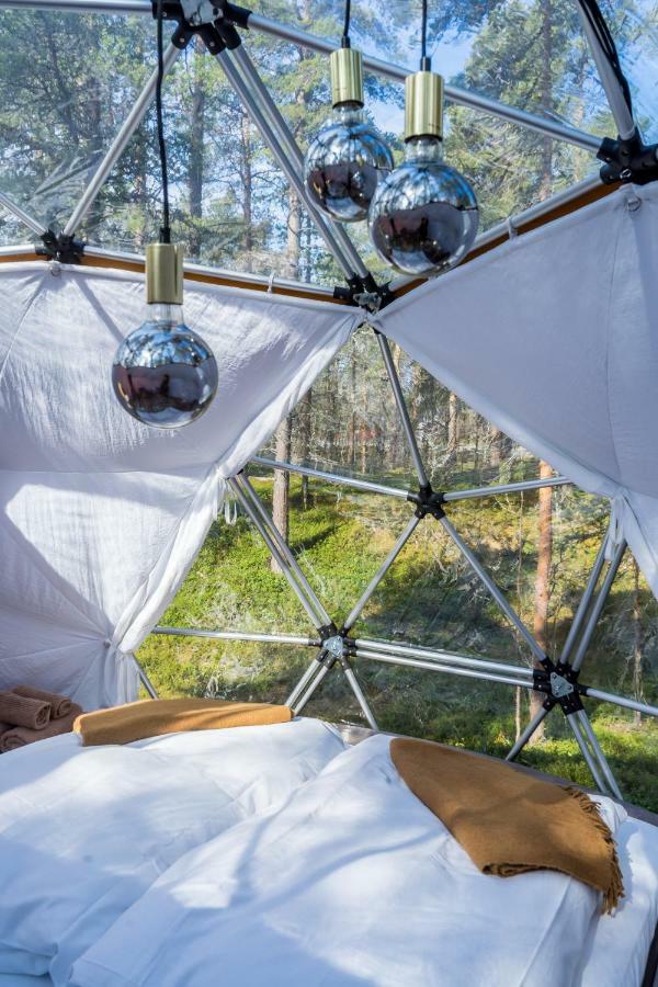 Glod Aurora Canvas Dome Алта Екстериор снимка